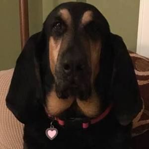 Meet your Posher, Falina